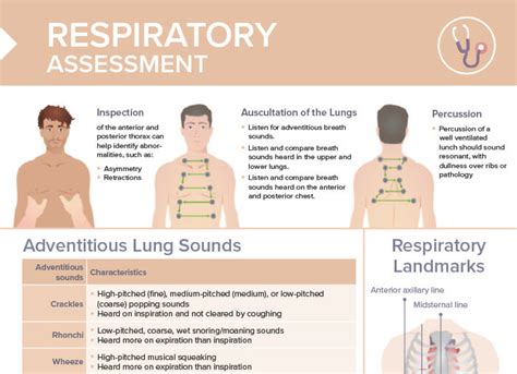 Evaluation of the Pulmonary Patient .